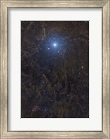 Polaris Surrounded by Molecular Clouds Fine Art Print