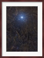 Polaris Surrounded by Molecular Clouds Fine Art Print