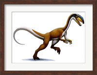 Megapnosaurus Fine Art Print