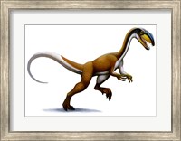 Megapnosaurus Fine Art Print