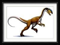 Megapnosaurus Fine Art Print