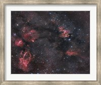 Nebulosity in the Cepheus Constellation Fine Art Print