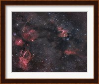 Nebulosity in the Cepheus Constellation Fine Art Print