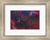 Widefield View in the Orion Constellation Fine Art Print