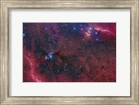 Widefield View in the Orion Constellation Fine Art Print