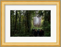 Tane Mahuta, Giant Kauri tree in Waipoua Rainforest, North Island, New Zealand Fine Art Print