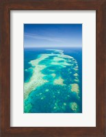Australia, Cairns, Great Barrier Reef, Elford Reef Fine Art Print