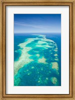 Australia, Cairns, Great Barrier Reef, Elford Reef Fine Art Print
