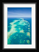 Australia, Cairns, Great Barrier Reef, Elford Reef Fine Art Print