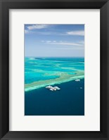 Australia, Whitsunday Coast, Great Barrier Reef (vertical) Fine Art Print