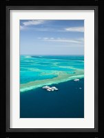 Australia, Whitsunday Coast, Great Barrier Reef (vertical) Fine Art Print