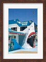 Australia, Queensland, Hervey Bay, Shark Show Fine Art Print