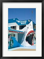 Australia, Queensland, Hervey Bay, Shark Show Fine Art Print