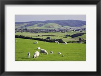 Farmland at Milburn, South Otago, South Island, New Zealand Fine Art Print