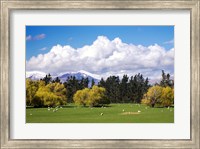 Farmland in Southland, South Island, New Zealand Fine Art Print