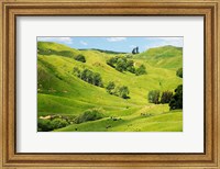 Farmland near Gisborne, New Zealand Fine Art Print