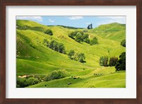 Farmland near Gisborne, New Zealand Fine Art Print