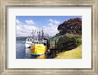 Fishing Boats, Tauranga Harbor, Tauranga, New Zealand Fine Art Print