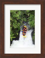 Raft, Tutea's Falls, Okere River, near Rotorua, New Zealand Fine Art Print