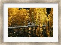 Autumn Colors, Victoria Bridge, Kawarau Gorge, South Island, New Zealand Fine Art Print
