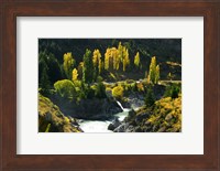 Autumn Colours, Kawarau River, Kawarau Gorge, South Island, New Zealand Fine Art Print