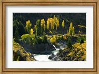 Autumn Colours, Kawarau River, Kawarau Gorge, South Island, New Zealand Fine Art Print