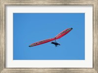 Hang glider, Otago Peninsula, South Island, New Zealand Fine Art Print