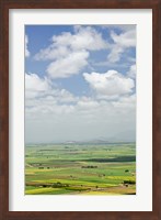 Australia, Queensland, Coastal Plains agriculture Fine Art Print