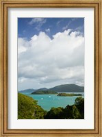 Australia, Whistsunday, Airlie Beach, Shute Harbour Fine Art Print