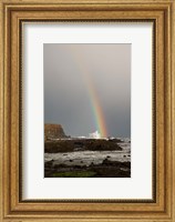 New Zealand, South Island A rainbow arcs over Curio Bay Fine Art Print