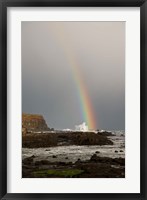 New Zealand, South Island A rainbow arcs over Curio Bay Fine Art Print