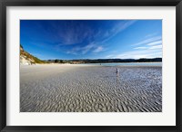 Beach, Doctors Point, South Island, New Zealand (horizontal) Fine Art Print