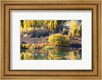 Autumn Colours, Lake Dunstan, Central Otago, New Zealand Fine Art Print