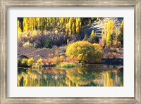 Autumn Colours, Lake Dunstan, Central Otago, New Zealand Fine Art Print