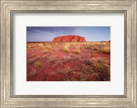 Australia, Uluru-Kata Tjuta NP, Outback, Ayers Rock Fine Art Print