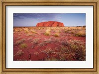 Australia, Uluru-Kata Tjuta NP, Outback, Ayers Rock Fine Art Print
