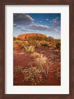 Australia, Uluru-Kata Tjuta NP, Red desert, Ayers Rock Fine Art Print