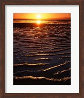 Coast at sunset, Abel Tasman National Park, New Zealand Fine Art Print