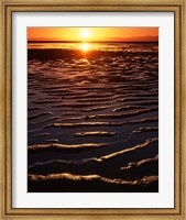 Coast at sunset, Abel Tasman National Park, New Zealand Fine Art Print