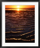 Coast at sunset, Abel Tasman National Park, New Zealand Fine Art Print