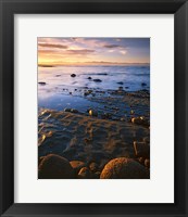 Sunset, Tasman Bay, South Island, New Zealand Fine Art Print