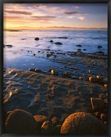 Sunset, Tasman Bay, South Island, New Zealand Fine Art Print