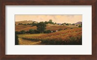 Carneros Vineyards Fine Art Print