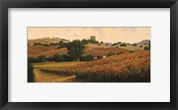 Carneros Vineyards Fine Art Print