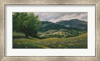 Spring in Carmel Valley Fine Art Print