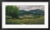 Spring in Carmel Valley Fine Art Print