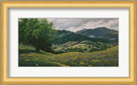 Spring in Carmel Valley Fine Art Print