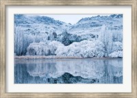 Reflections and Hoar Frost, Butchers Dam, near Alexandra, Central Otago, South Island, New Zealand Fine Art Print