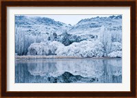 Reflections and Hoar Frost, Butchers Dam, near Alexandra, Central Otago, South Island, New Zealand Fine Art Print