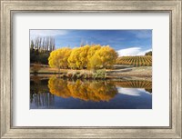 Autumn Vineyard, Bannockburn Inlet, Lake Dunstan, Central Otago, South Island, New Zealand Fine Art Print